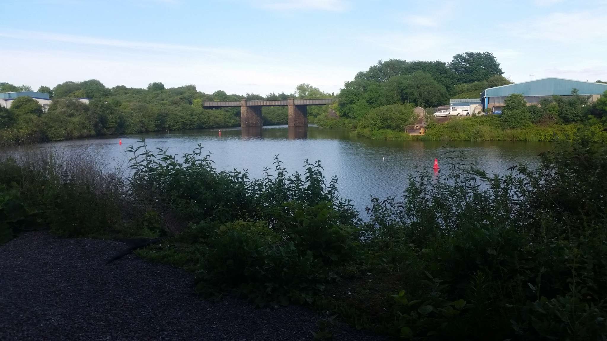 River Ely at Riverside Park, Penarth Road